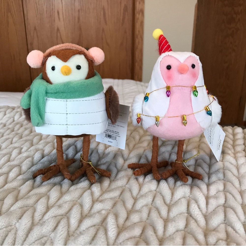 Target Wondershop 2023 Birds Wafer and Tinsel